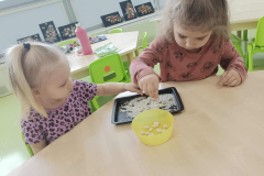 f75b1dd5-c586-4ac8-8e89-15a549249727