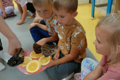 62522e8f-1021-4e77-ac30-077ee73b2732