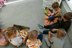 d5e36d80-57ba-4905-9045-aff39b5ebae3