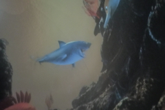 548331fb-e620-46de-b0e9-37bc49fd4528