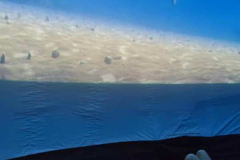 64255279-557e-4bf6-80fc-14079b894fa4