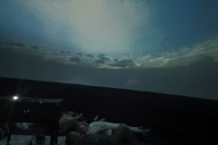 96aebf78-5e3c-48f0-be71-602e84ecd209