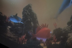 e6fc668b-1e0d-4e19-b873-7780ad95c3a2