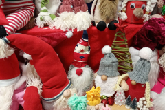 IMG_20251208_083739399_MFNR_copy_1536x1536_1