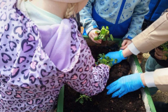 0bca1dc9-37b5-4efa-a70e-8e38ccd76f78