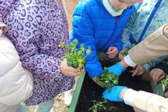 0facc774-a1ee-4eaf-aaf2-db84b71776d7