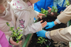 335f5c46-6272-4dc0-97a1-3ac9aa2d8488