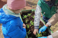 393248a3-e41f-4684-9805-1a56ce8bb413