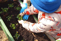 45a52f92-3566-460d-a5ea-ecab42b990a1