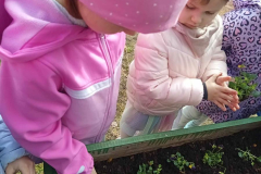 548d7818-7092-4a4d-bc69-45a727e21d6c