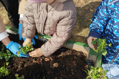 acb406ff-53c3-49da-87c6-aac836431bcf