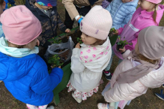 acb672f7-4f30-4ee7-a550-b43590fd3de1