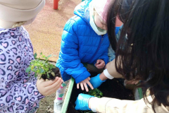 d546a80d-1b1f-498e-8c95-37bbf3b9f231