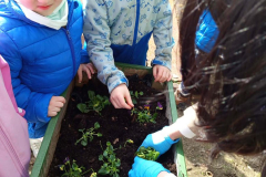 fc59ce14-85a4-45b0-a0c0-2aa17f05e623