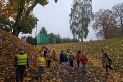 IMG_20231023_093130647