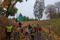 IMG_20231023_093136853