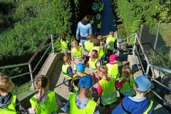 58b7f693-18c5-487c-bda1-05097b500b2b