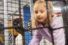 f5d8c783-43c7-4b7c-a90a-95f9ec82fa4b